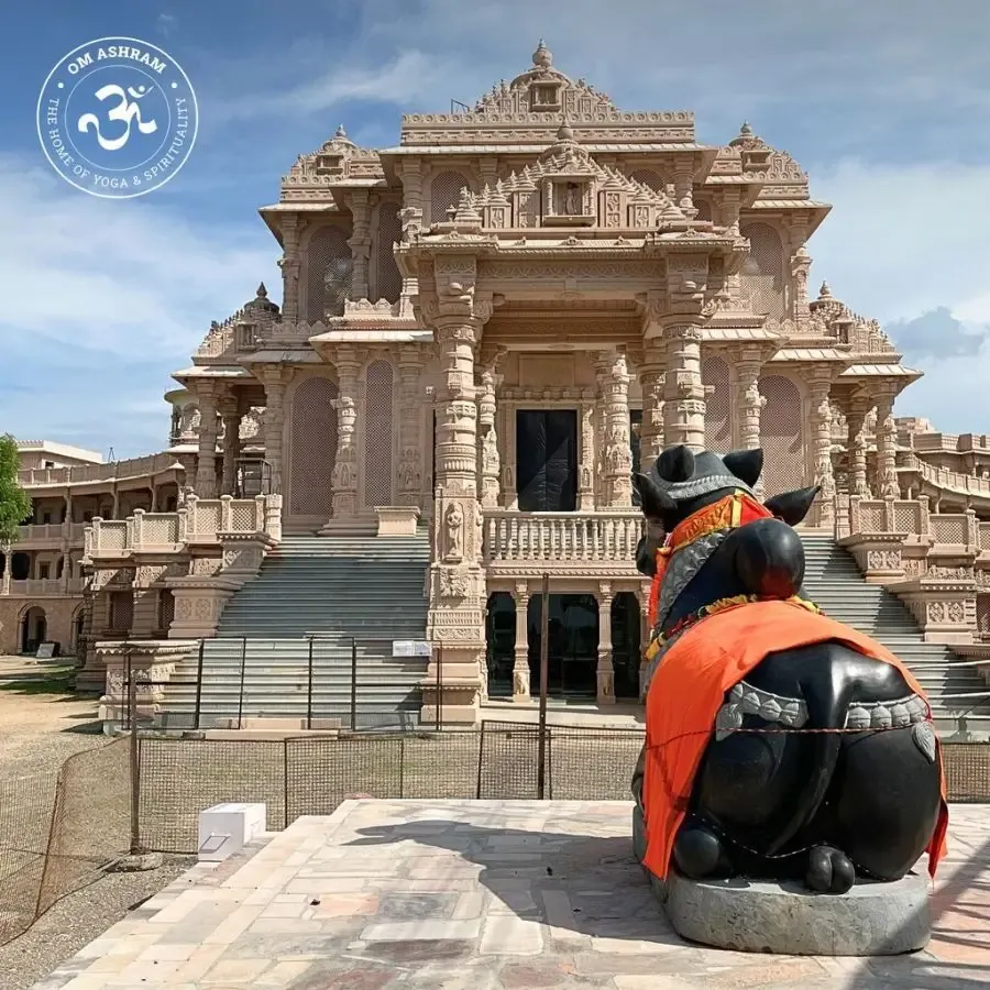 vision-of-om-becomes-reality bodyImage