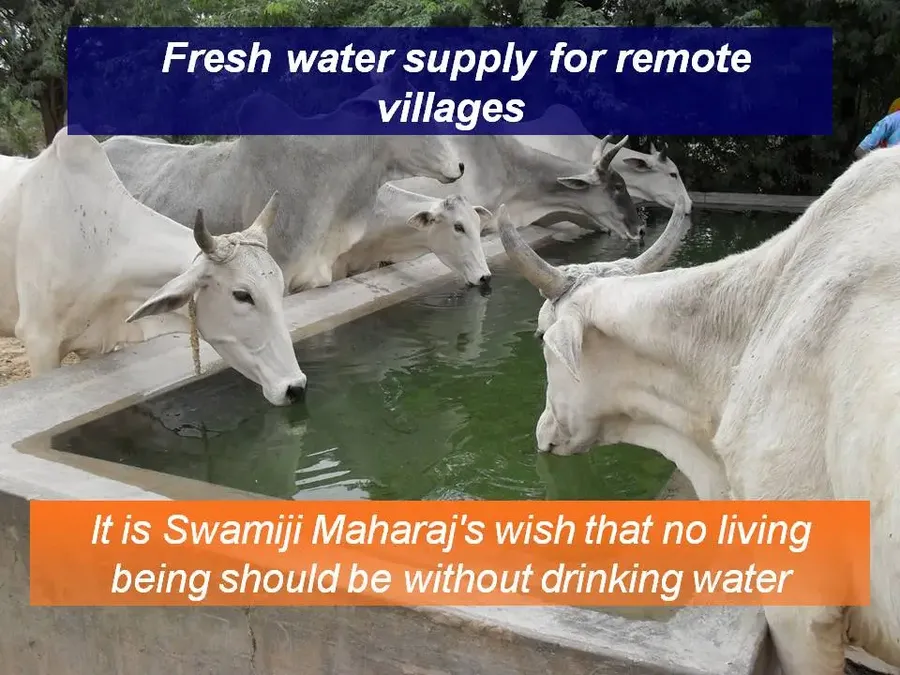 water-is-life-waterharvesting bodyImage