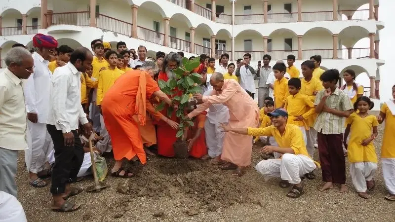world-peace-trees-planting-in-jadan-ashram bodyImage
