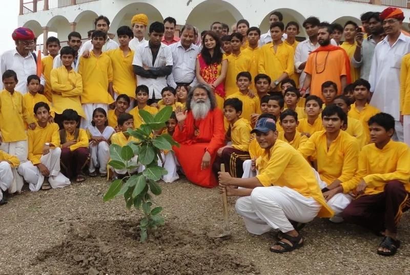 world-peace-trees-planting-in-jadan-ashram mainImage